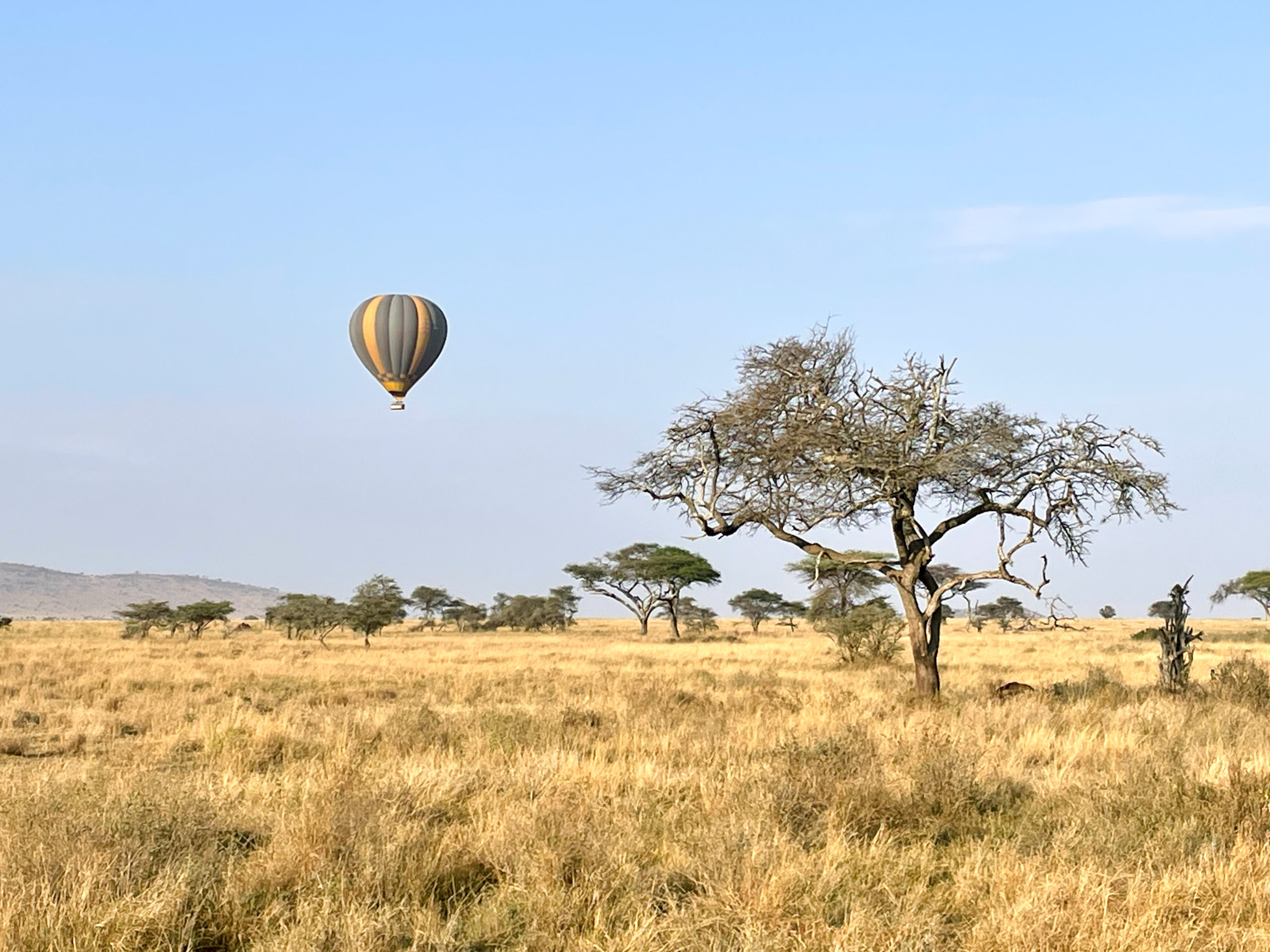 Kenya & Tanzania 2022